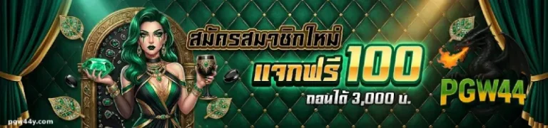 โปรโมชั่น pgw44